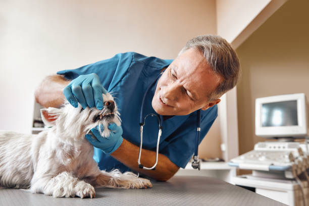 Best Emergency Broken Tooth Repair in Manitowoc, WI